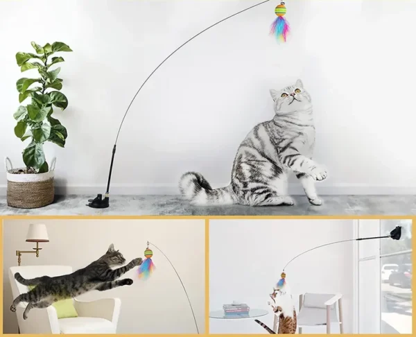 Trois images de chats jouant avec un jouet en plumes colorées attaché à une tige flexible. L’image principale du haut montre un chat rayé gris sur ses pattes arrière cherchant le jouet. Les deux images plus petites ci-dessous montrent des chats sautant et frappant le jouet dans différentes pièces.